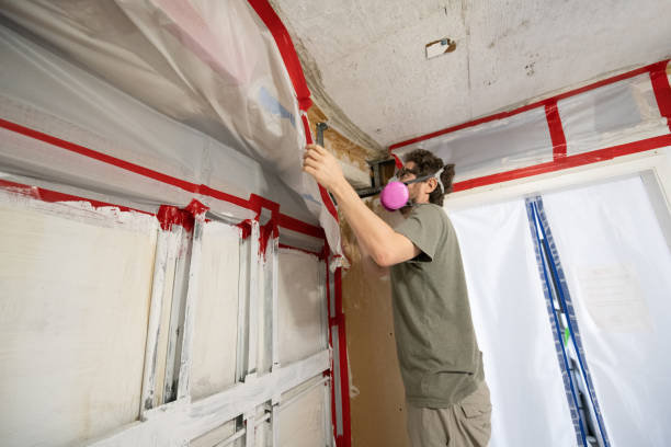 Environmental Consulting for Mold Prevention in West Bountiful, UT