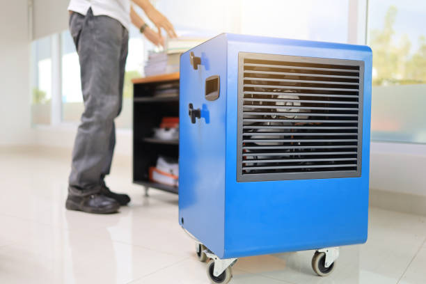 Mold Odor Removal Services in West Bountiful, UT